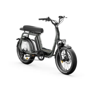 Vélo cargo électrique biplace RITMIC DUO chez Carlanges Bicyclette, idéal pour transporter passager ou charges en ville.