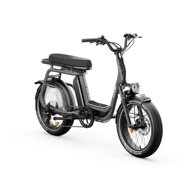 Vélo cargo électrique biplace RITMIC DUO chez Carlanges Bicyclette, idéal pour transporter passager ou charges en ville.